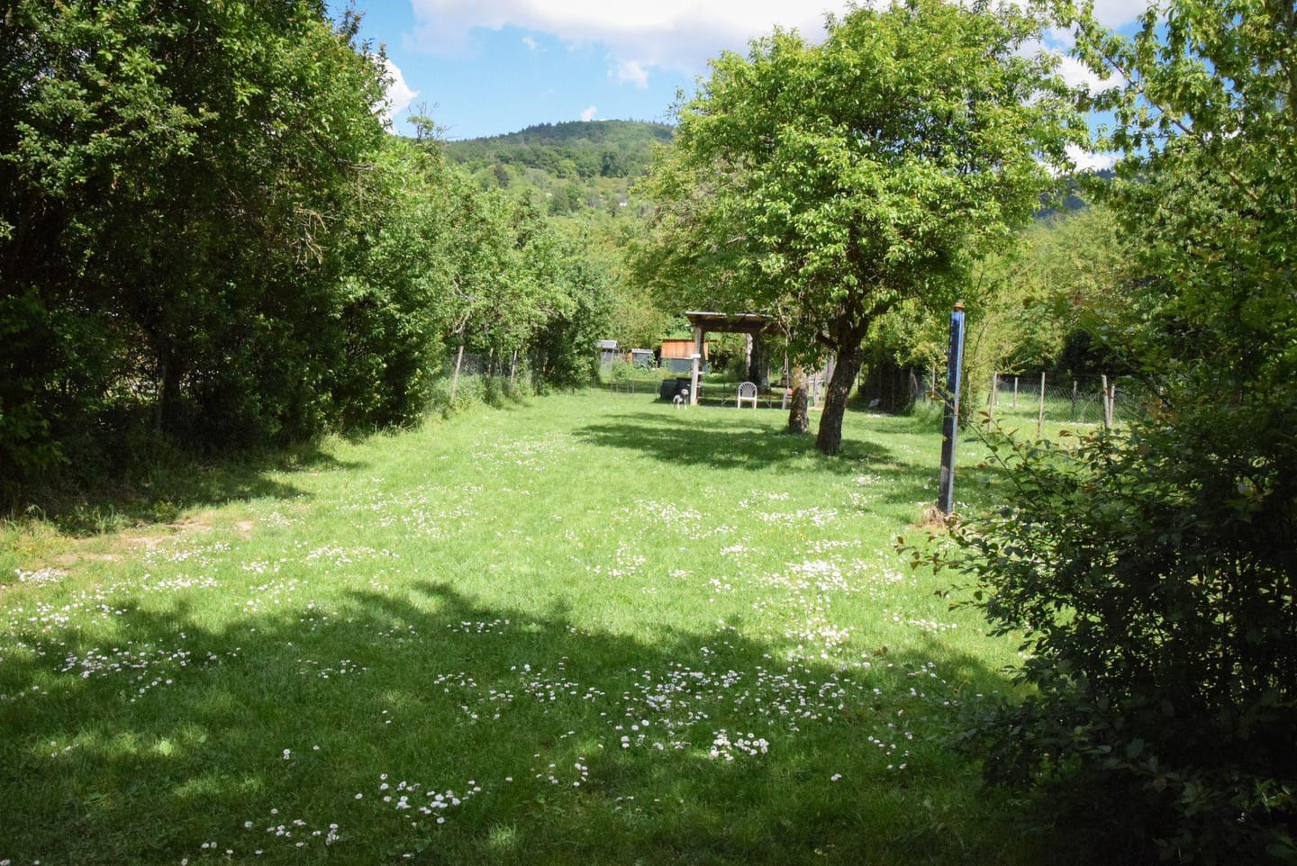 Unser 1000 qm großes Trainingsgelände in Heidelberg-Handschuhsheim.