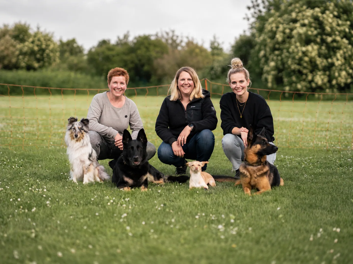 Das Team der Hundeschule LiKo mit ihren Hunden vor Heidelberg